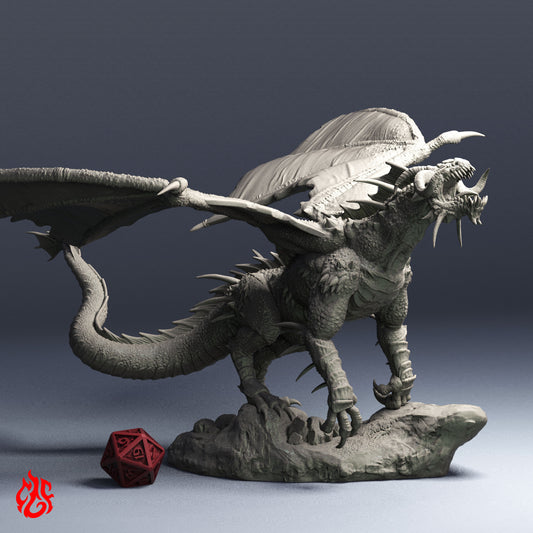 Dragon Noir