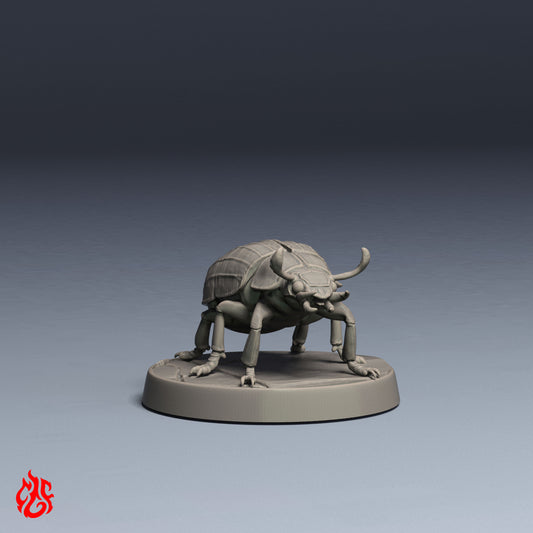 Desert Scarab