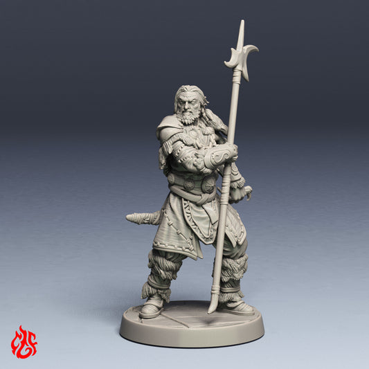 Morginn the Druid