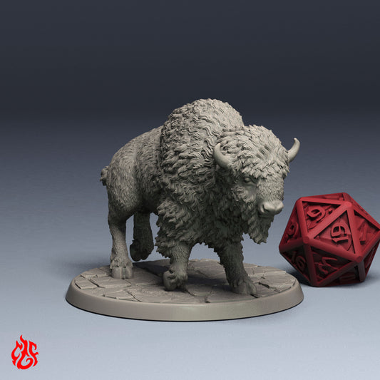 Buffalo