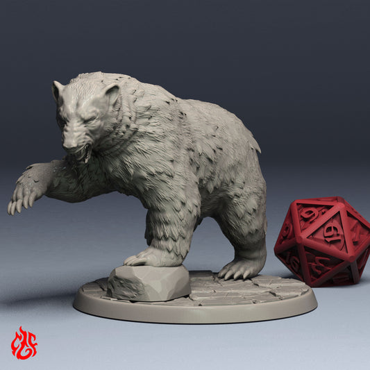 Polar Bear