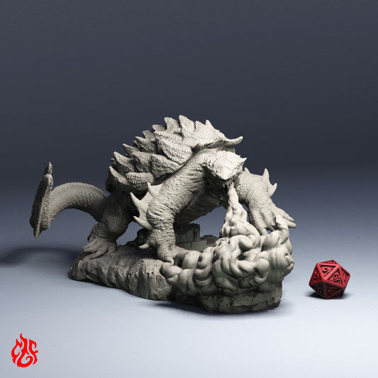 Tortue Dragon