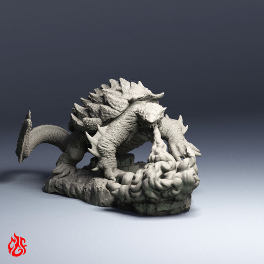Tortue Dragon
