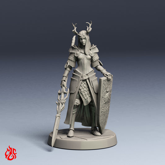 Caballero de las Sombras