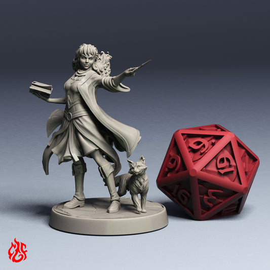 Hermione Apprentie Sorcière