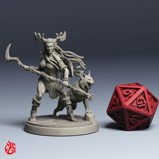 Darieth, Wood Elf Beastmaster