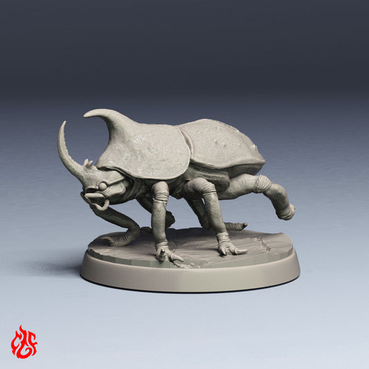 Rhinoceros Beetle