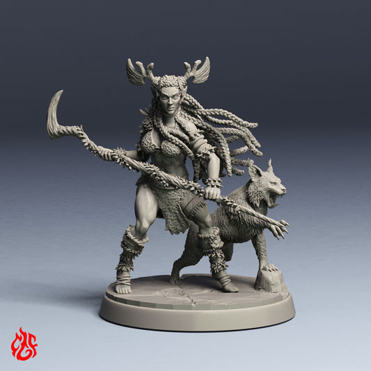 Darieth, Wood Elf Beastmaster