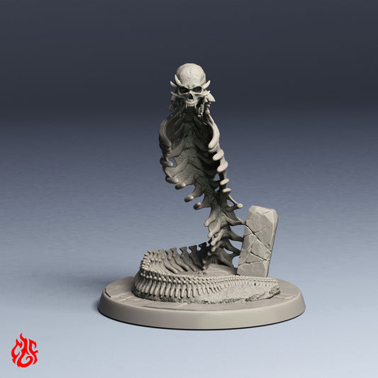 Naga osseux