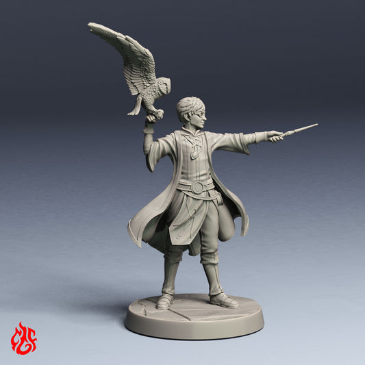 Harry Apprentice Wizard