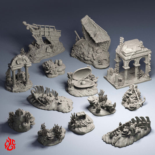 Aquatic Environment Scenery