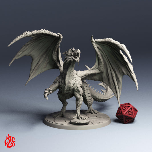 Jeune dragon rouge