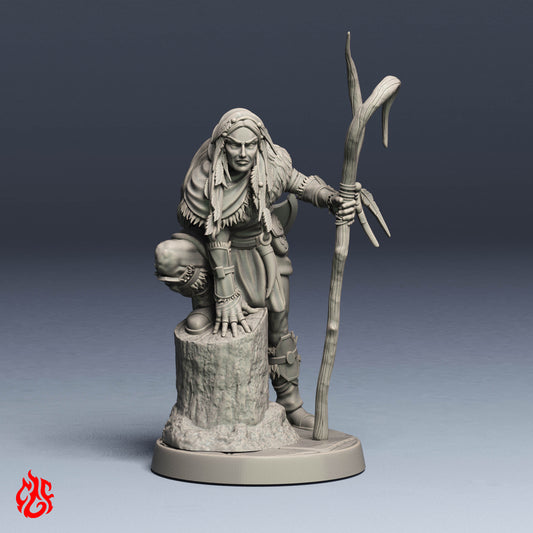 Vauri, Druid Goliath