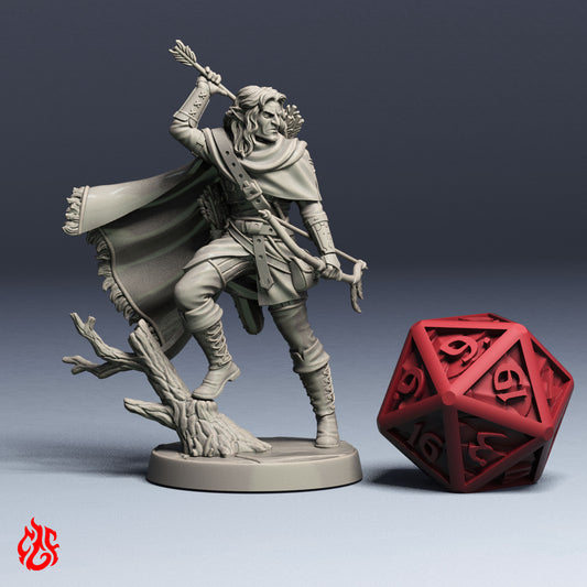 Eoldir, chasseur d'elfes des bois