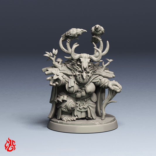 Blirta, druide demi-troll