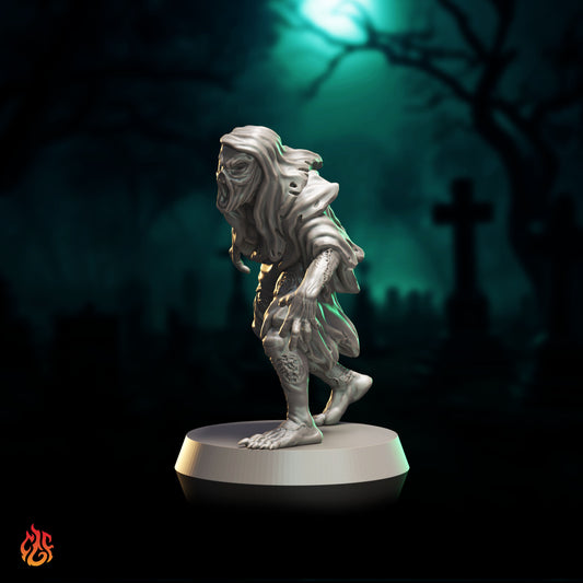 Bodak (Digital, STL files)