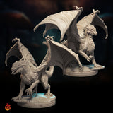 Black Dragon Wyrmlings