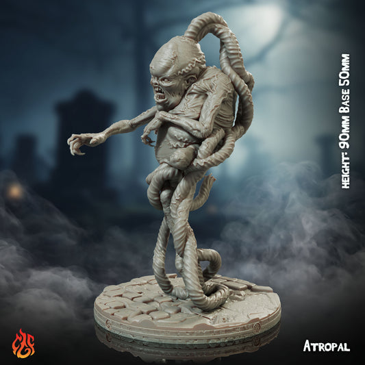 Atropal (Digital, STL files)