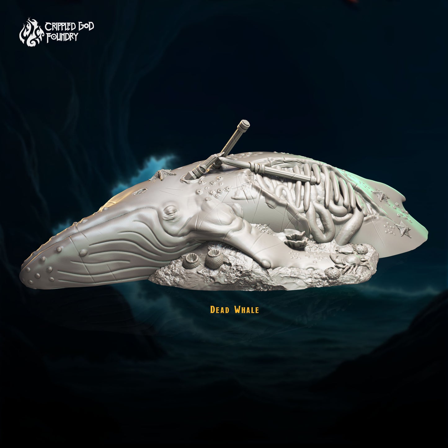 Accesorios para cuevas submarinas