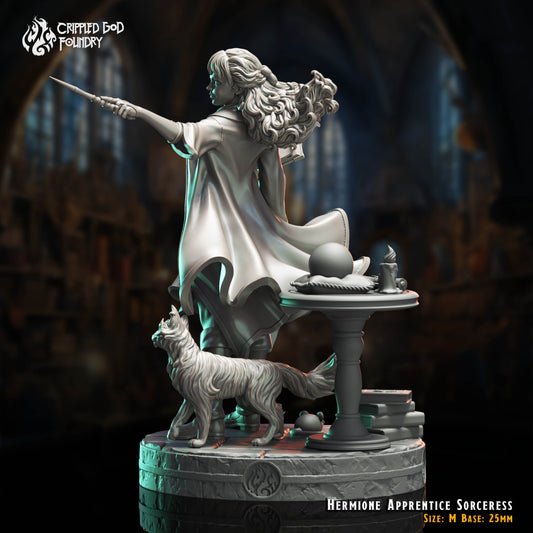 Hermione Apprentie Sorcière