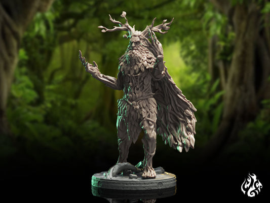 Bihorn, druide métamorphe des bois