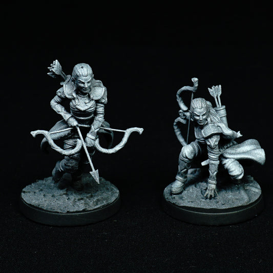 Elfos exploradores
