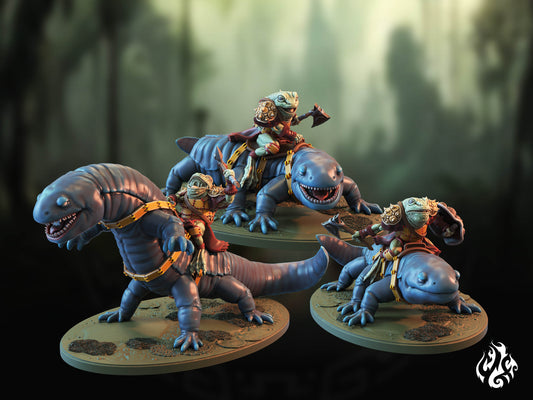 Grenouille chevauchant la salamandre