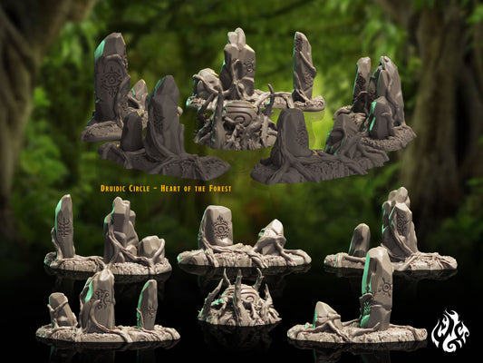 Forest Druidic Cirlce