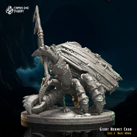 Bernard l'ermite géant