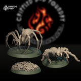 Pack d'araignées géantes