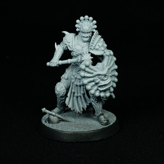 Gladiateur spectateur