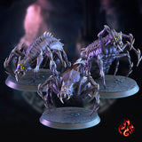 Araignées géantes sombres