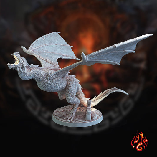 Young Black Dragons (Digital, STL files)