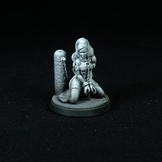 Princesse capturée