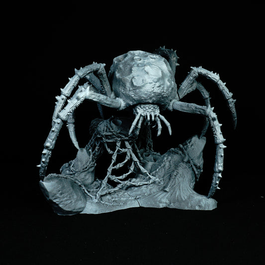 Araignée astéroïde