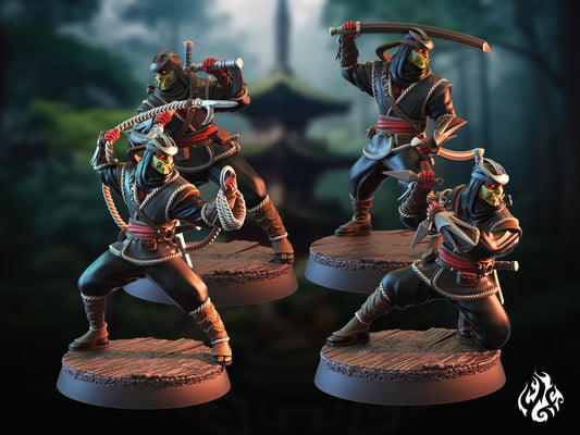 Assassins Ninja Hobgoblin