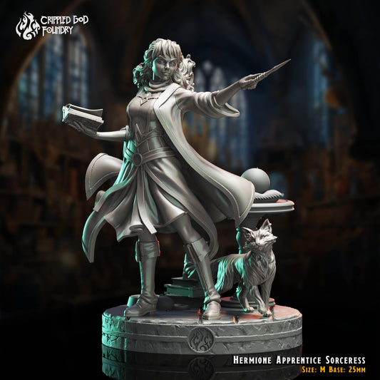 Hermione Apprentie Sorcière
