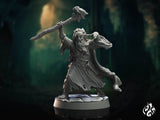 Le Mage Fou