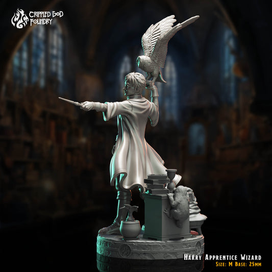 Harry Apprenti Sorcier