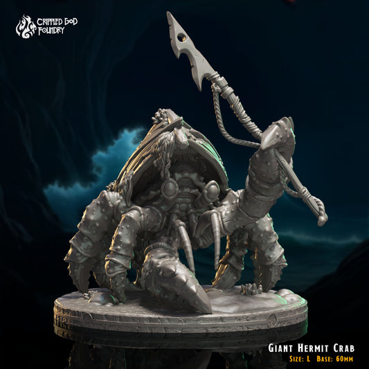 Bernard l'ermite géant