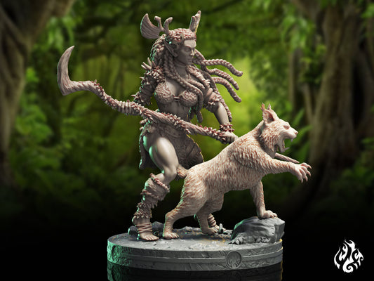 Darieth, maître des bêtes elfes des bois