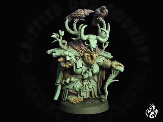 Blirta, Half-troll Druid (Digital, STL files)