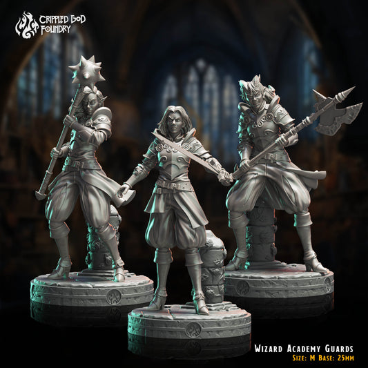 Wizard Academy Guards (Digital, STL files)