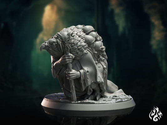 Nagpa (Digital, STL files)