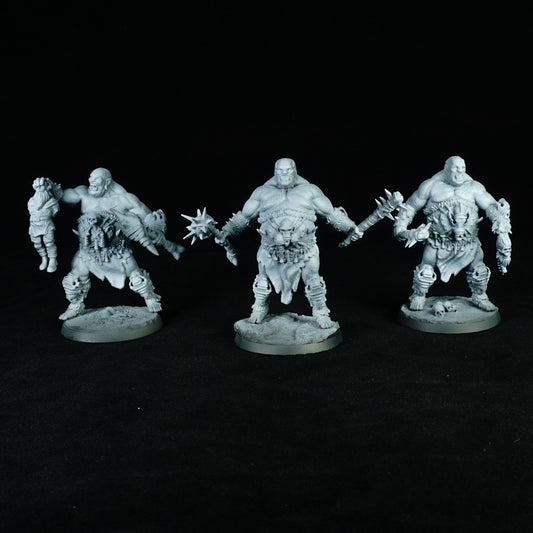 Guerriers ogres