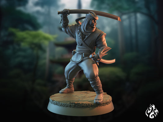 Assassins Ninja Hobgoblin