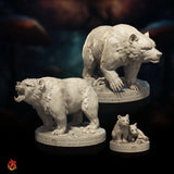 Bears
