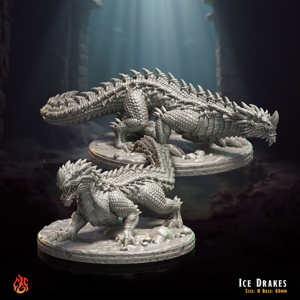 Ice Drakes (Digital, STL files) – Crippled God Foundry