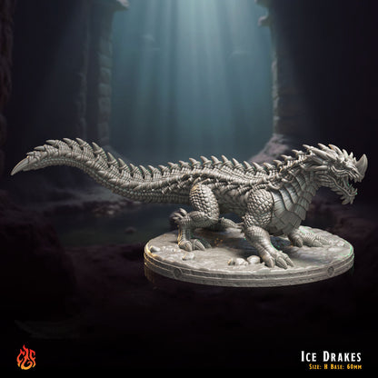 Drakes de hielo