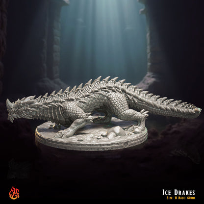Drakes de hielo